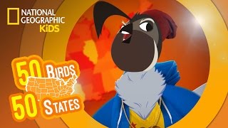 California - Feat. Rapper MC Val the Valley Quail | 50 Birds, 50 States