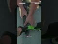 Cops wrangle alligator in Georgia neighborhood  - 00:51 min - News - Video
