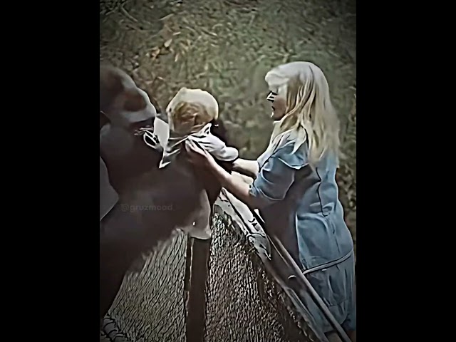 Only a mother can truly understand another mother.❤️#gorilla #zoo #animals #mother #baby