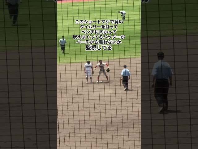 審判もしっかり見ててエライ #高校野球 #渥美農業 #豊田大谷