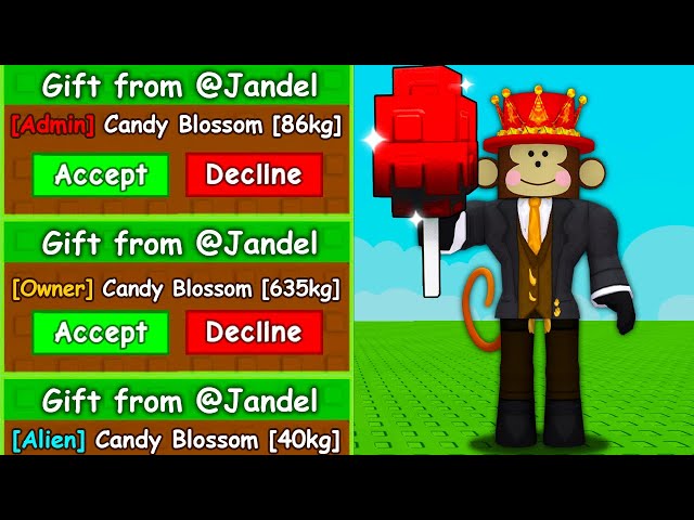 DR4GONS ĐI XIN CÂY CHO ĐẾN KHI CÓ ĐƯỢC ADMIN CANDY BLOSSOM TRONG GROW A GARDEN | Roblox