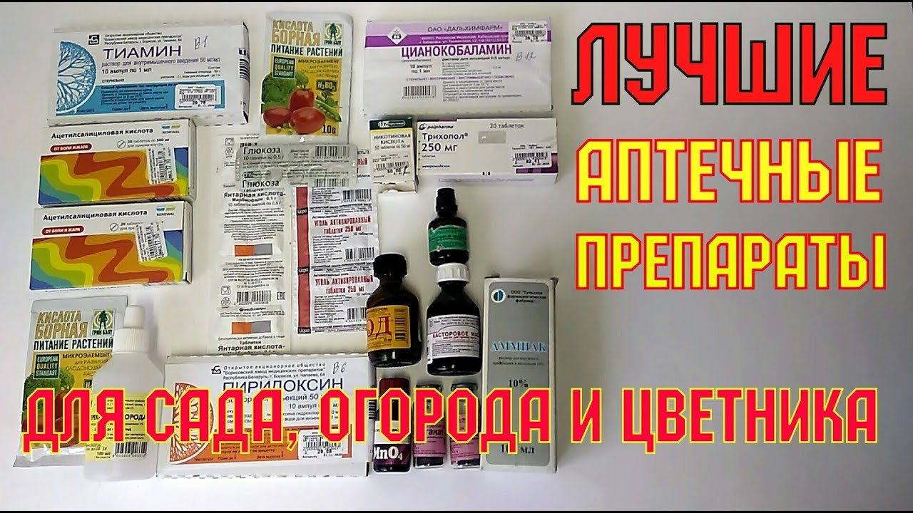 Поиск Лекарств В Аптеках Ялуторовска