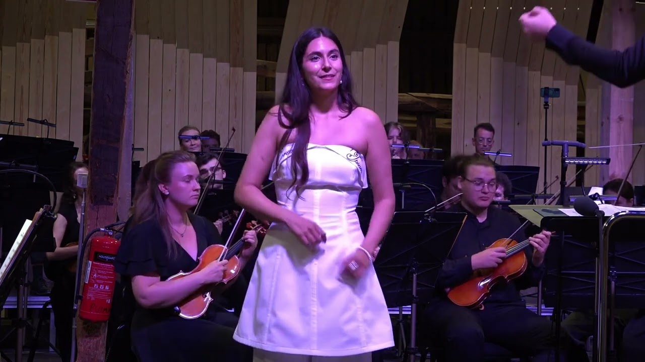 Watch W. A Mozart - Deh vieni non tardar