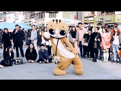 오늘 신촌 고양이카페 알바랑 가필드 댄스배틀 붙었는데 소름돋게 잘춤ㅋㅋ