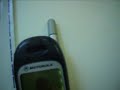 Motorola T190