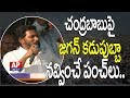 YS Jagan Funny Comments on Chandrababu over Missing Votes