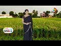 ఆలస్యమైన ప్రాంతాల్లో వేసుకోదగిన మధ్యకాలిక వరి రకాలు | Rice Varieties | Matti Manishi | 10TV  - 06:42 min - News - Video