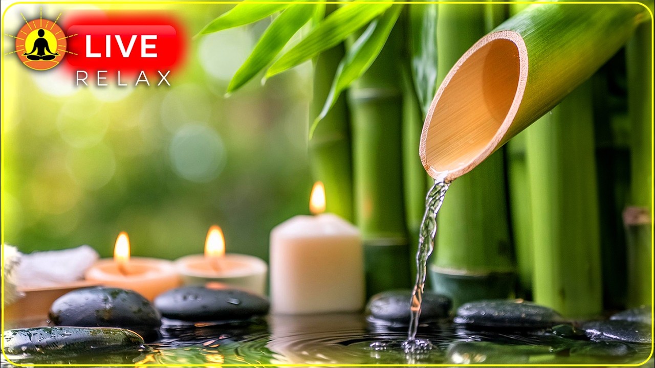 🔴 Relaxing Music 24/7, Meditation Music, Spa, Healing Music, Massage Music, Sleep, Study Music, Zen