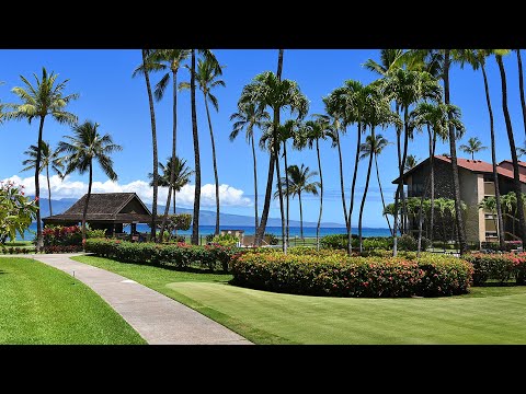 Property video