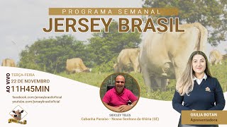 Programa Jersey Brasil - 22/11/2022