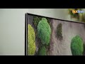 Samsung QE55Q8CNAUXUA — обзор 55-дюймового QLED телевизора