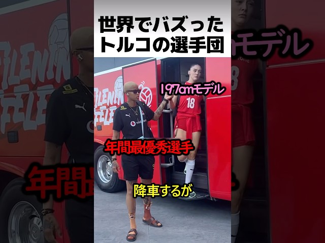 トルコのバレーボール選手団
