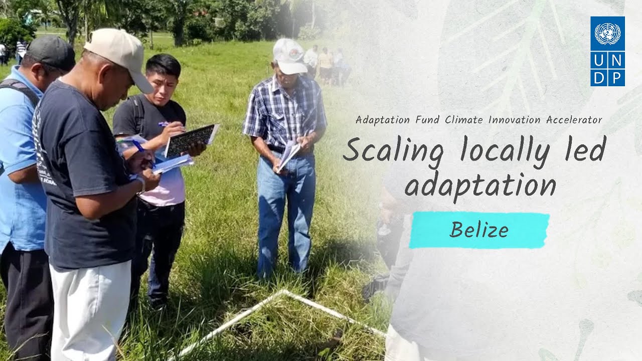Silvopastoral systems for healthier forests and livestock: Belize Livestock Producers Association