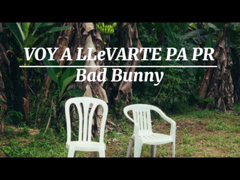 Voy a llevarte Pa PR| Bad Bunny| 1 hora