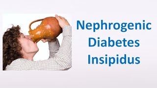 Nephrogenic Diabetes Insipidus