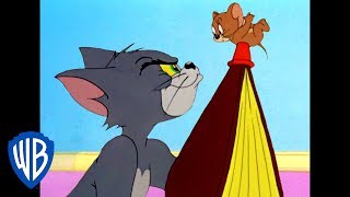 Tom a Jerry - často sme k ničomu