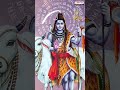 తెల తెల వారే లేరా స్వామి  #LordShivasongs #ShivaStotram #OmNamahShivaya #telugubhaktisongs - 00:59 min - News - Video