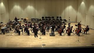 Youth Music Illinois Concert Orchestra Concert - 11/24/24