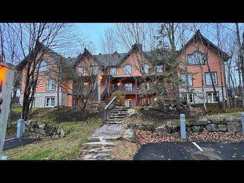 Property video