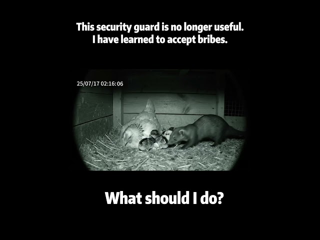 This security guard is no longer useful.I have learned to accept bribes.