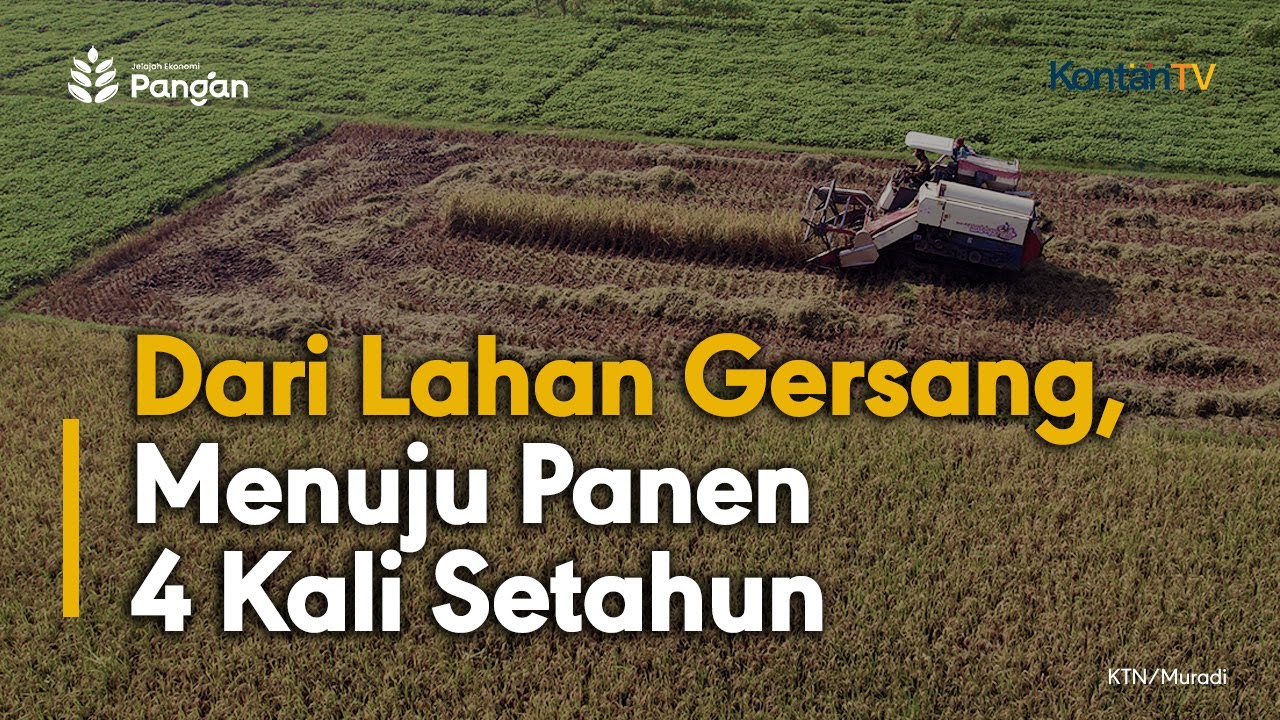 Dari Lahan Gersang, Menuju Panen 4 Kali Setahun | KONTAN Jelajah Ekonomi Pangan