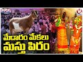 Huge Hike Of Goats On The Occasion Of Medaram Jathara | V6 Teenmaar