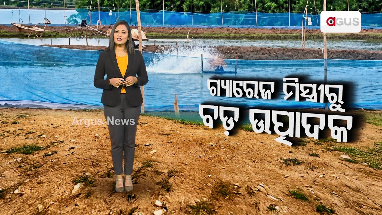 ଗ୍ୟାରେଜ୍‌ ମିସ୍ତ୍ରୀରୁ ବଡ ଉତ୍ପାଦକ | Nua Sankalpa Nua Udaana | Argus News | Odisha News