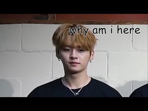 another unfunny stray kids on crack video