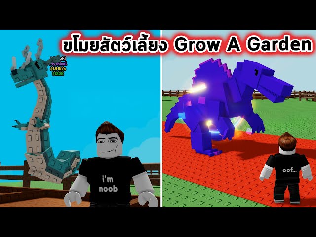 ขโมยสัตว์เลี้ยงหายาก Grow A Garden ที่ไม่เคยเห็นมาก่อน