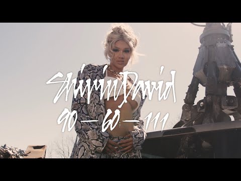 SHIRIN DAVID - 90-60-111 [Official Video]