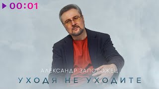 Александр Запорожец — Уходя не уходите | Official Audio | 2024