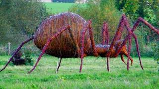 All comments on WORLD'S LARGEST SPIDER CAUGHT ON CAMERA!!!! - YouTube All comments on WORLD'S LARGEST SPIDER CAUGHT ON CAMERA!!!! - YouTube
