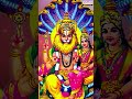 Divine Blessing From Lord Narasimha🙏 #aaraginchikuchunnadallavade #telugudevotionalsongs #bhaktisong  - 00:59 min - News - Video