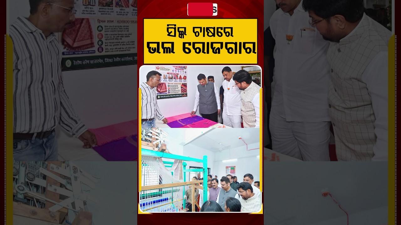 ସିଲ୍କ ଚାଷରେ ଭଲ ରୋଜଗାର | Maharashtra Development: Silk Farming Boosting Farmers' Income | Argus News