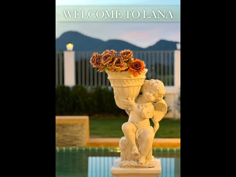 Property video
