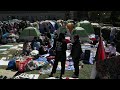 LIVE: At Columbia University as demonstrations sprout up on US campuses to protest war in Gaza  - 00:00 min - News - Video