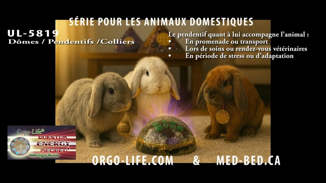 UL-5819 - Technologie quantique vibrationnelle, combo dôme et pendentif pour les animaux domestiques