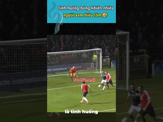 Cứ tưởng fan lẻn vào sân ghi bàn 🤣