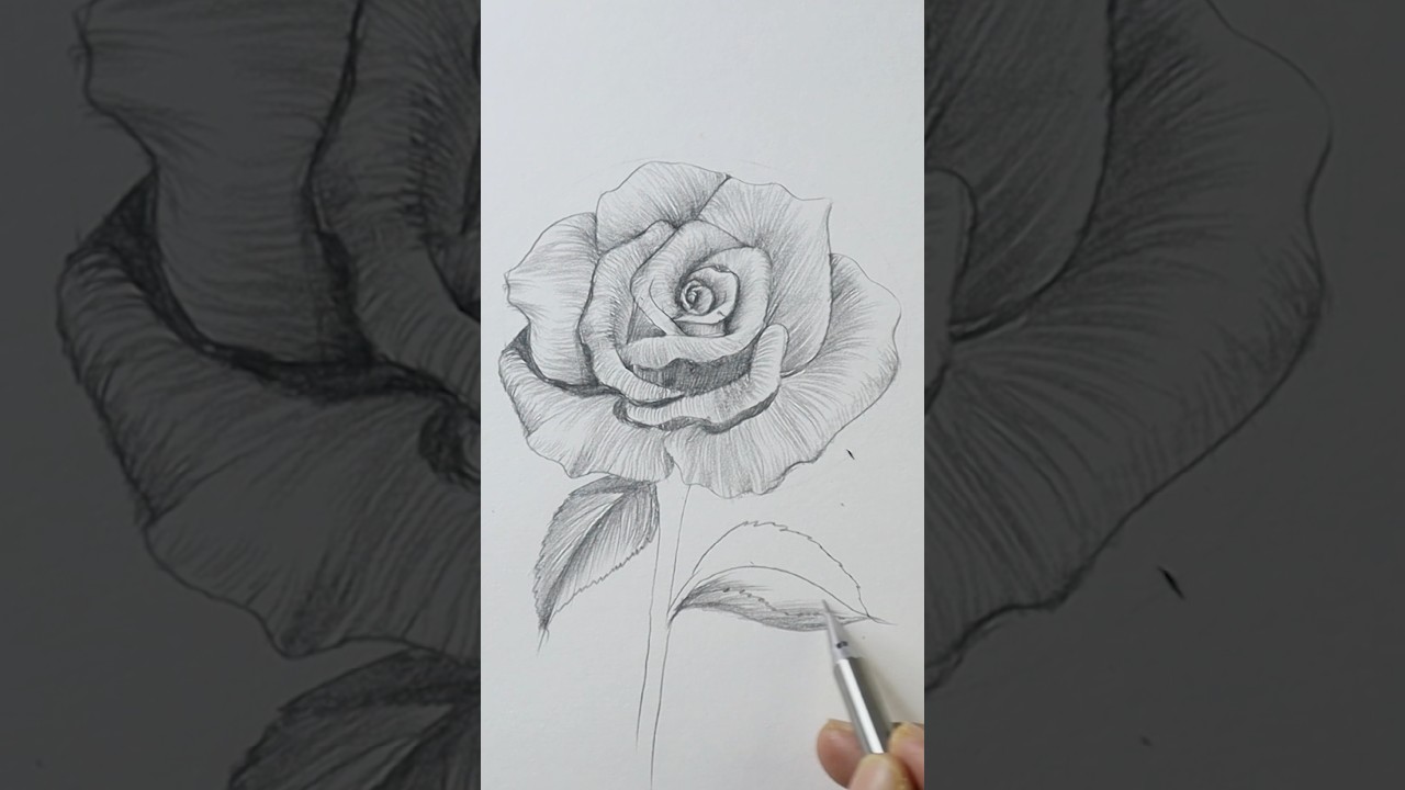FREE 60-Day Drawing Course 🎨 - 17 Mastering in Shading #drawing #art #sketch #shortsfeed #shading