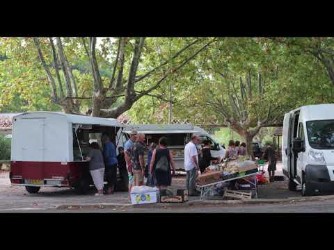 Video realizado por la propiedad