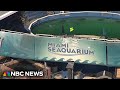 Miami terminates lease with Seaquarium after questions of animal safety