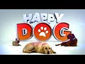 Casting - Candidats - Happy Dog M6