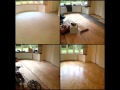 Hardwood and wood floors supplied and fitted by justwood fl