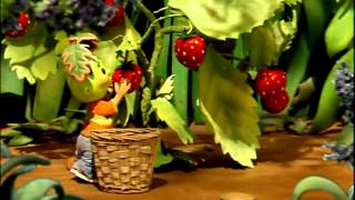 FIFI - Makulka m dovolenku