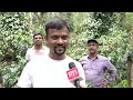 Chikkamagaluru Coffee | What Are Expectations Of The Coffee Growers In Chikkamagaluru  - 03:49 min - News - Video