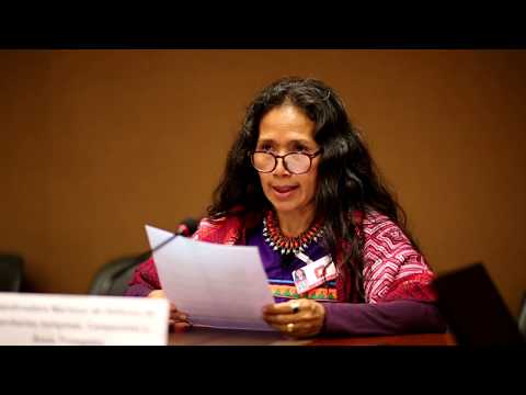 Ruth Alipaz, CONTIOCAP, en las pre sesiones al examen de derechos humanos a Bolivia
