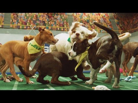 Power Puppies | Puppy Bowl