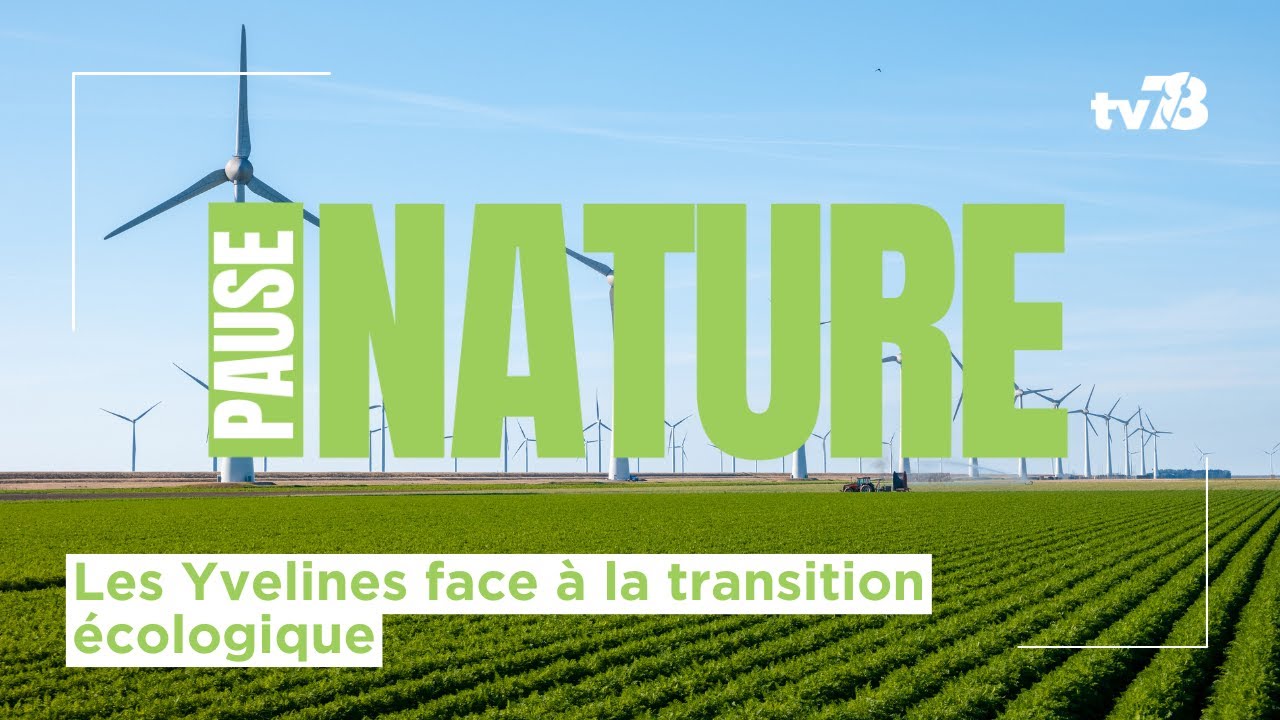 Transition écologique : les Yvelines face aux défis climatiques