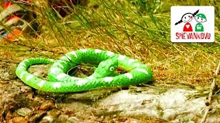 Spievankovo - Na Hada