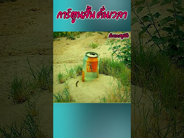 คู่รักแมลงตามหาเรือนหอ #recap #cartoon #animation #ห้ามพลาด #การ์ตูนสั้น